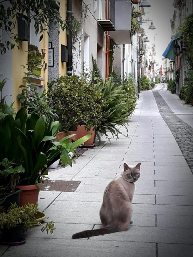 Via San Giacomo 10 Cagliari Eksteriør bilde